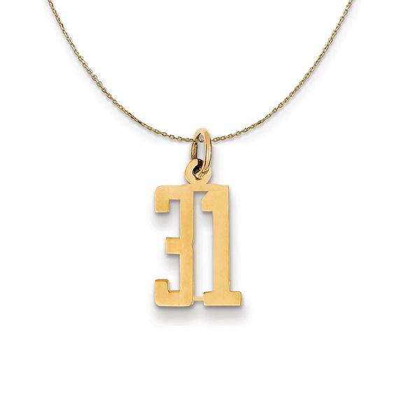 14k Yellow Gold, Alumni Small Elongated Number 31 Necklace...